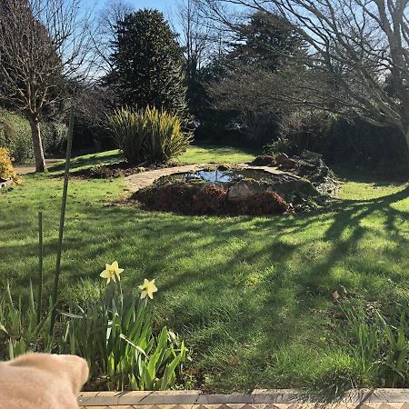 Hartree Guest House Newton Abbot Extérieur photo