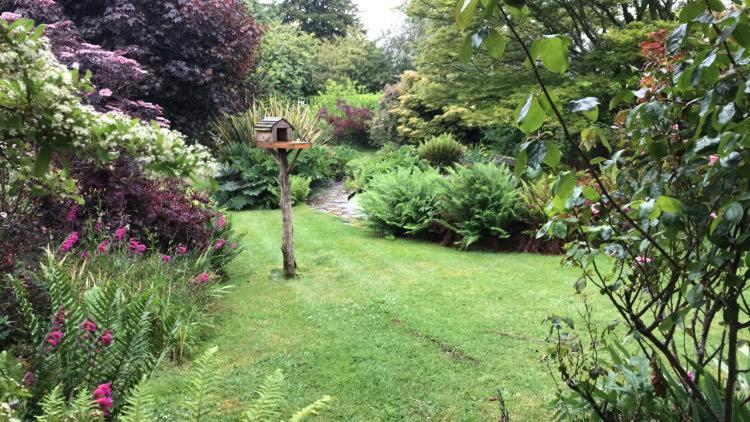Hartree Guest House Newton Abbot Extérieur photo